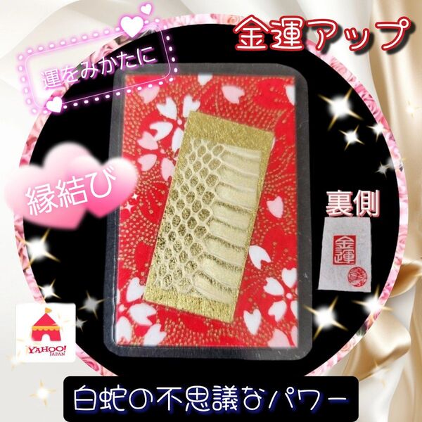 金運アップ 白蛇 蛇の抜け殻 御守り 恋愛運アップ 商売繁盛 子孫繁栄 厄除け 健康長寿 勝負運 人間関係改善