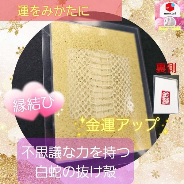 金運アップ 健康長寿 勝負運 白蛇の抜け殻の御守り 人間関係改善