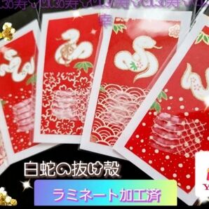 金運アップ 健康長寿 勝負運 白蛇の抜け殻の御守り 人間関係改善 ストラップ