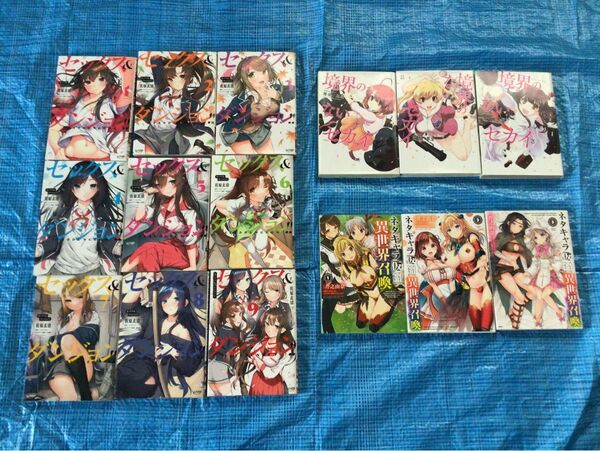 セックス&ダンジョン!! 全9巻+ 境界のないセカイ 全3巻+ ネタキャラ仮プレイのつもりが異世界召喚 1〜3巻 全15巻セット