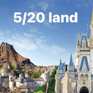 5/20 disney land ディズニーランド ショッピング枠 入園済