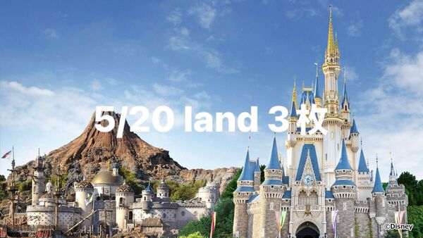 5/20 disney land ディズニーランド ショッピング枠 入園済 3枚