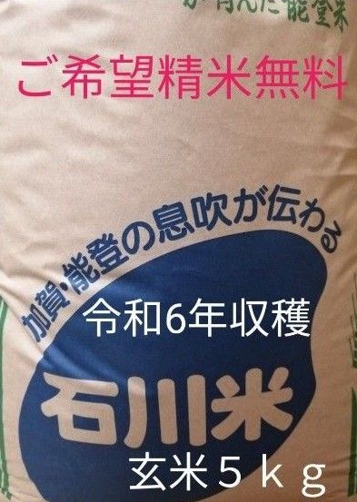 ご希望なら精米します 精米無料 石川県 能登半島 七尾市【令和6年秋 収穫】石川米コシヒカリ棚田米のコシヒカリ100% 玄米5㎏