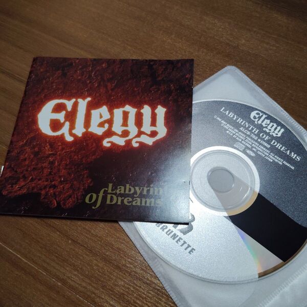 Elegyエレジー ラビリンスオブドリームス