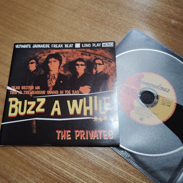 THE PRIVATESプライベーツ BUZZ A WHILE