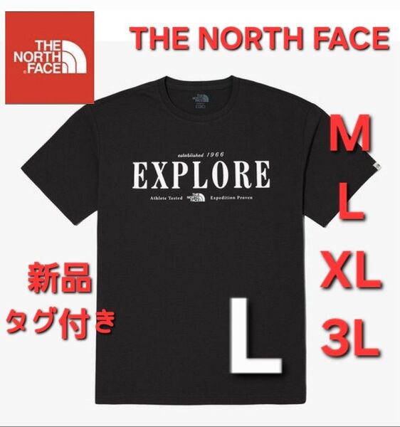 THE NORTH FACE ノースフェイス 半袖 Tシャツ 新品 トップス L
