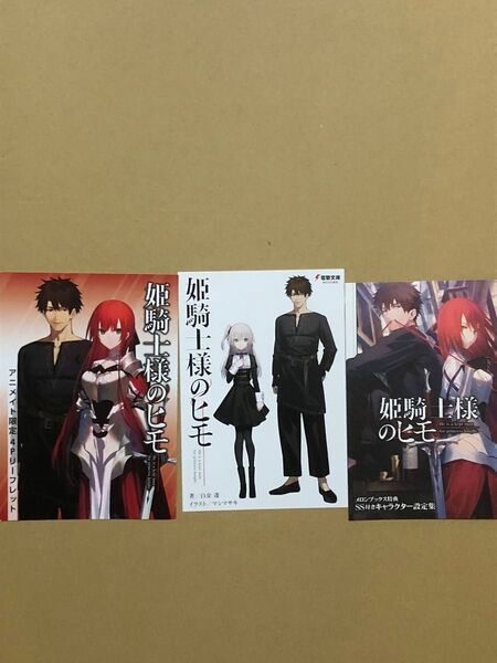 特典(小説) 姫騎士様のヒモ 1巻 SS リーフレット ブックレット 小冊子 新品 3点