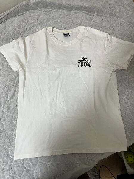 価格相談可能 STUSSY Tシャツ