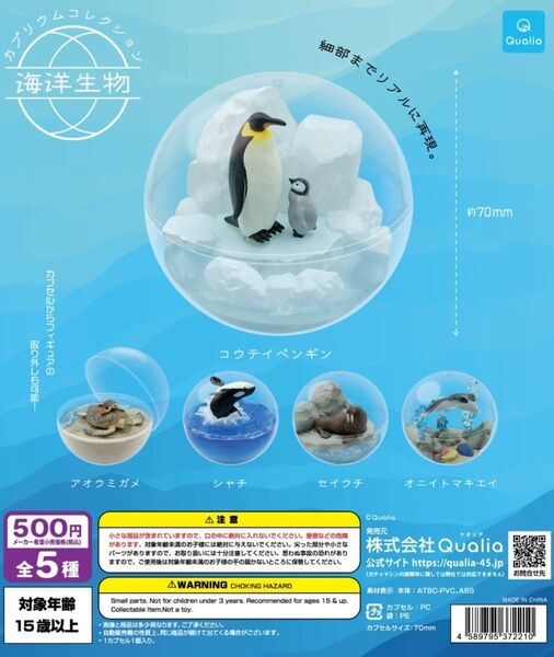 ガチャ 海洋生物 アオウミガメ②個セット
