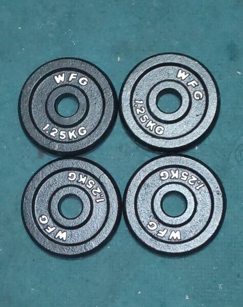 ワイルドフィット 1.25kg プレート 4枚 28mm 用 WFG ダンベル プレート