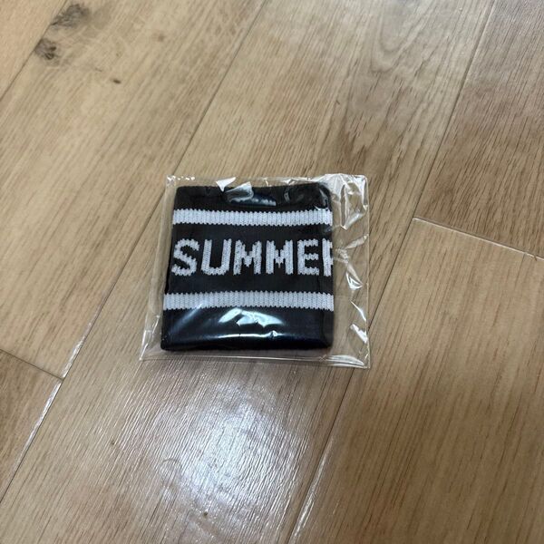 【新品未使用】GLAY SUMMER DELICS リストバンド