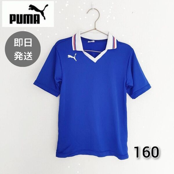 プーマ PUMA 160 サッカー フットサル 練習着 ユニフォーム 青 Tシャツ スポーツブランド 半袖 トレーニングウェア