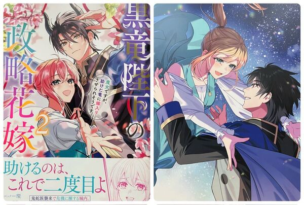 黒竜陛下の政略花嫁魔女ですが、助けた竜に嫁入りさせられそうです 2