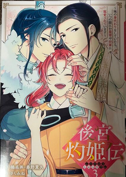 後宮灼姫伝~妹の身代わりをしていたら、いつの間にか皇帝や将軍に寵愛されています~ 3