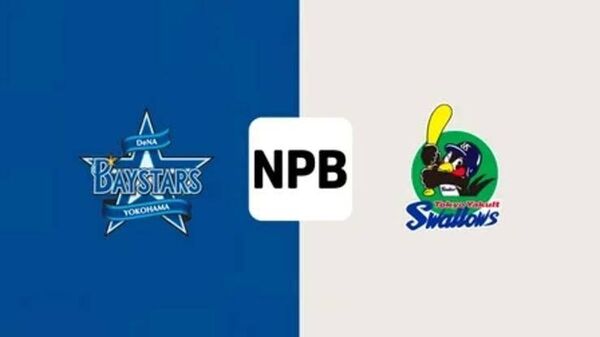 横浜DeNAベイスターズ対東京ヤクルトスワローズ 6/1(日) 14:00〜 横浜スタジアム 観戦チケット(ペアチケット)