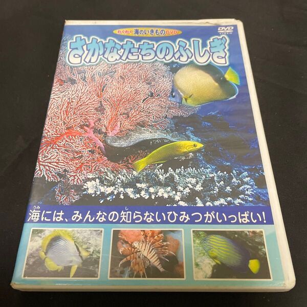 さかなたちのふしぎ DVD