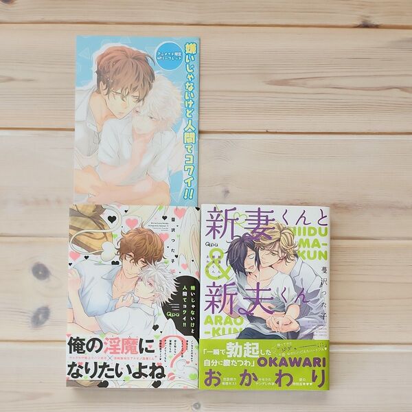 嫌いじゃないけど人間てコワイ!! アニメイト特典 リーフレット 新妻くんと新夫くんおかわり BL