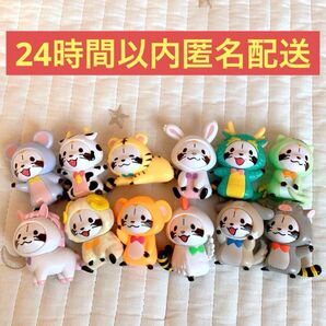ココス ラスカル 干支 マグネット 全種 コンプリート セット