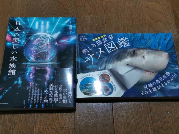 美しき捕食者(プレデター)サメ図鑑 / 日本の美しい水族館