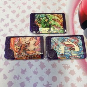 フレンダ オーガポン ウインディ ミロカロス
