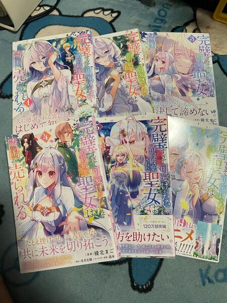 完璧すぎて可愛げがないと婚約破棄された聖女は隣国に売られる 1-6巻 特典付き