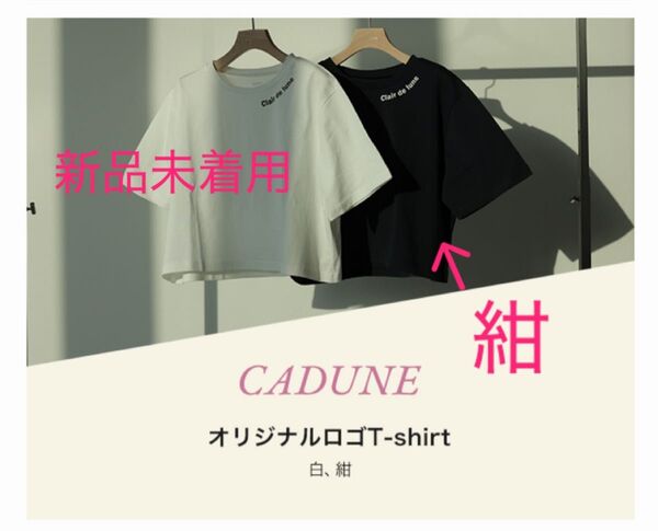 新品 カデュネ オリジナルロゴTシャツ 紺