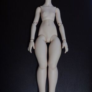 ドルフィードリーム MDD ボディ もちあし エフキューブ セミホワイト肌