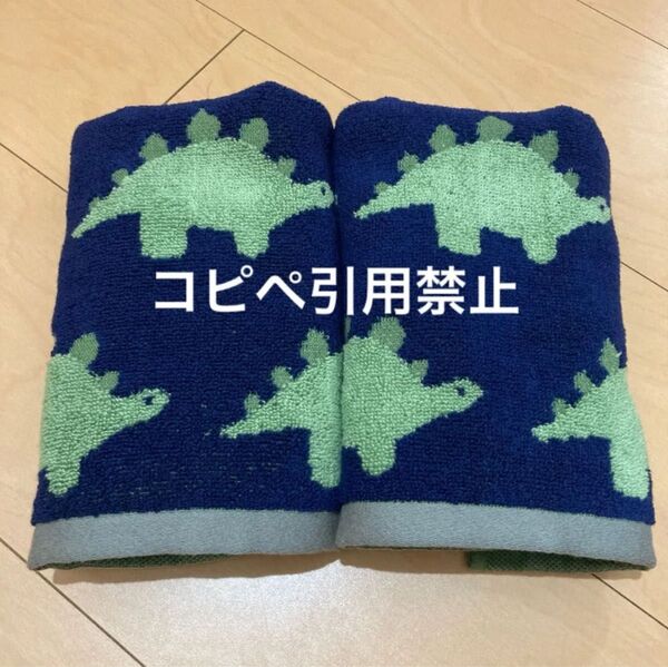 23時迄 フェイスタオル 恐竜 北欧 ネイビー グリーン