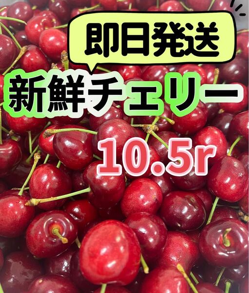シーズン初入荷〜アメリカンチェリー さくらんぼ チェリー 箱込み1kg