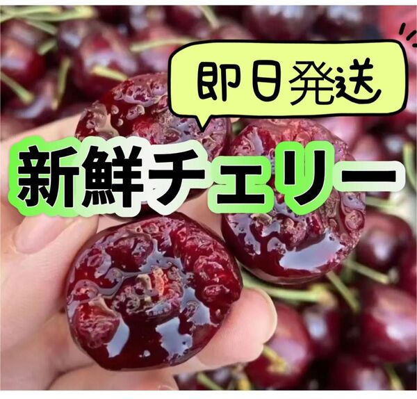 シーズン初入荷〜アメリカンチェリー さくらんぼ チェリー 箱込み1kg