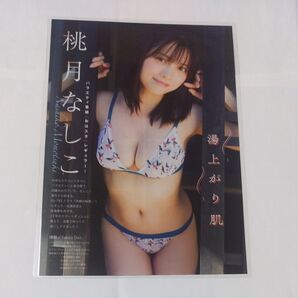 桃月なしこ ラミネート加工 切り抜き2P