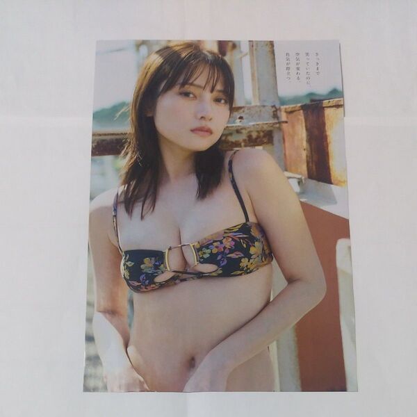 桃月なしこ 水着グラビアの切り抜き13P