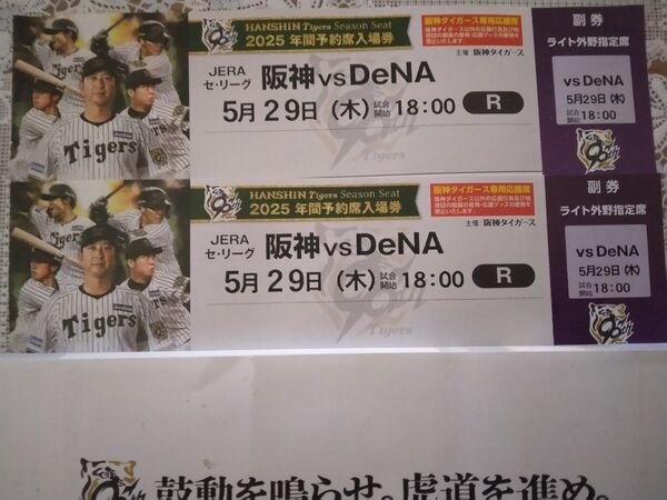 5/29 阪神vsDeNA 甲子園球場ライト外野指定席通路側ペアチケット