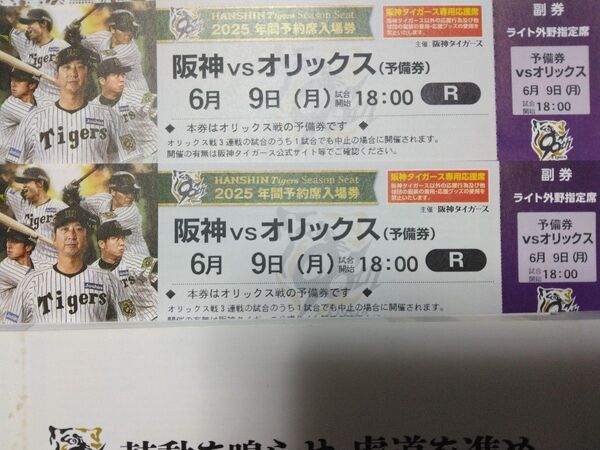 6/9 阪神vsオリックス(予備日)甲子園球場ライト外野指定席ペアチケット