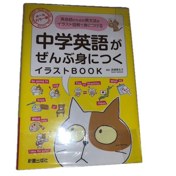 中学英語がぜんぶ身につくイラストBOOK オールカラー版