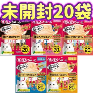 【20袋セット未開封5種類】計400本 ciaoちゅ〜る チャオちゅーる ちゃおちゅーる チャオチュール ちゅーる