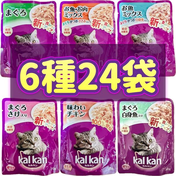 【6種・24袋】カルカン パウチ 70g kalkan 総合栄養食