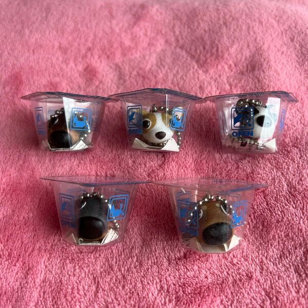 THE DOG POTION PACK 犬のキーホルダー 5個セット まとめ売り