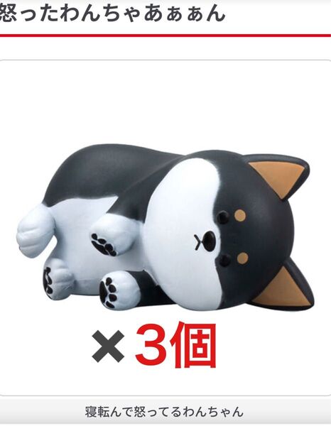 怒ったわんちゃあぁぁん 黒柴 寝転んで怒ってるわんちゃん ガチャ