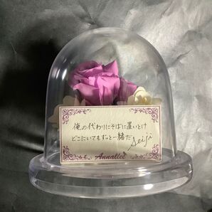 設楽聖司 プリザーブドフラワー メッセージカード ときめきメモリアル ときメモGS3 ブリサードフラワー 写シール欠品