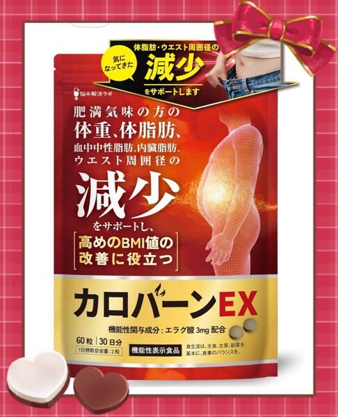 カロバーンEX 30日分