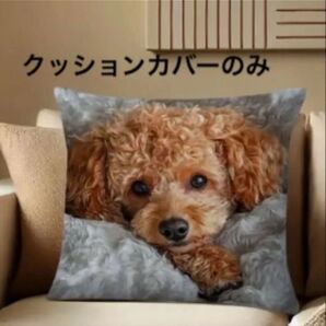 犬柄クッションカバー トイプードル