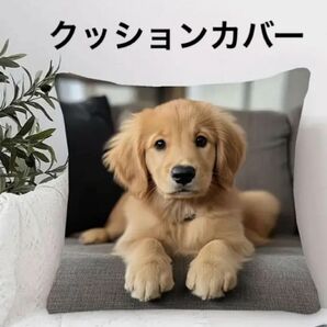 犬柄クッションカバー ゴールデンレトリバー 両面プリント