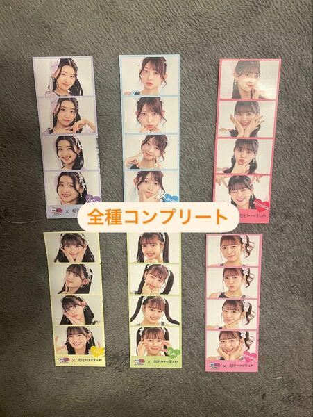 超ときめき宣伝部 セイムス 5月 オリジナルステッカー 辻野かなみ 小泉遥香 坂井仁香 吉川ひより 杏ジュリア 菅田愛貴 非売品