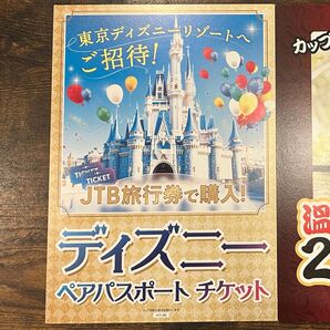 【パネルのみ】ディズニーペアチケット A4目録パネル