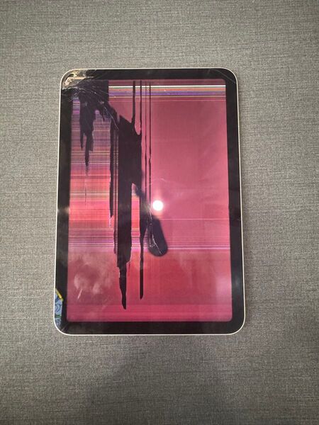 i iPad mini6 の液晶が壊れ