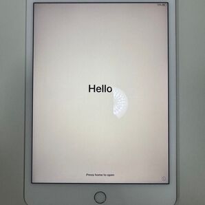 【即発送可能】iPad mini5 Wi-Fiモデル 256GB