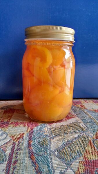 無農薬 無添加★ビワのシロップ煮★大瓶★びわ、枇杷