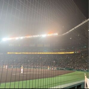 甲子園チケット中止時連絡用