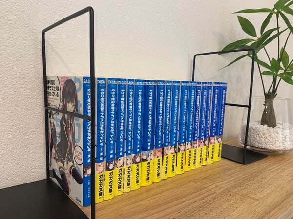 やはり俺の青春ラブコメは間違っている 全然セット(1~14巻の17巻セット)